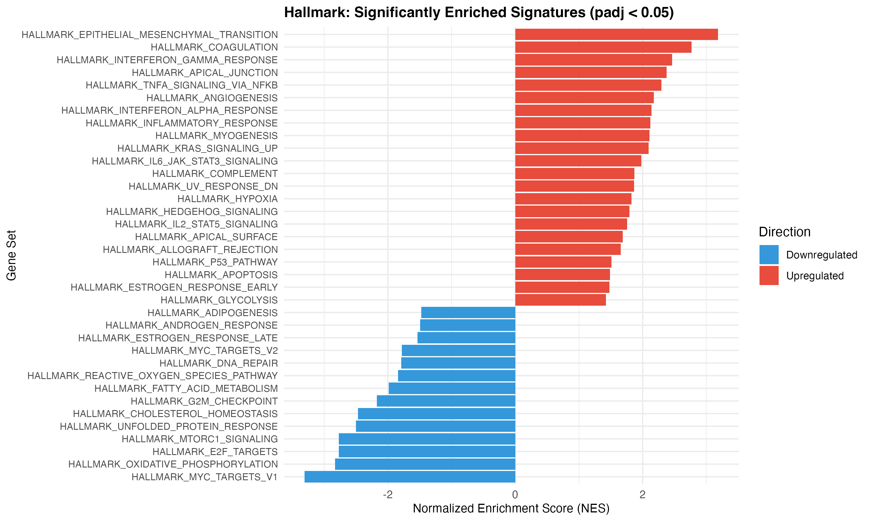 Hallmark NES Bar Plot